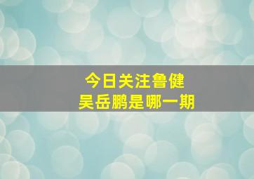 今日关注鲁健 吴岳鹏是哪一期